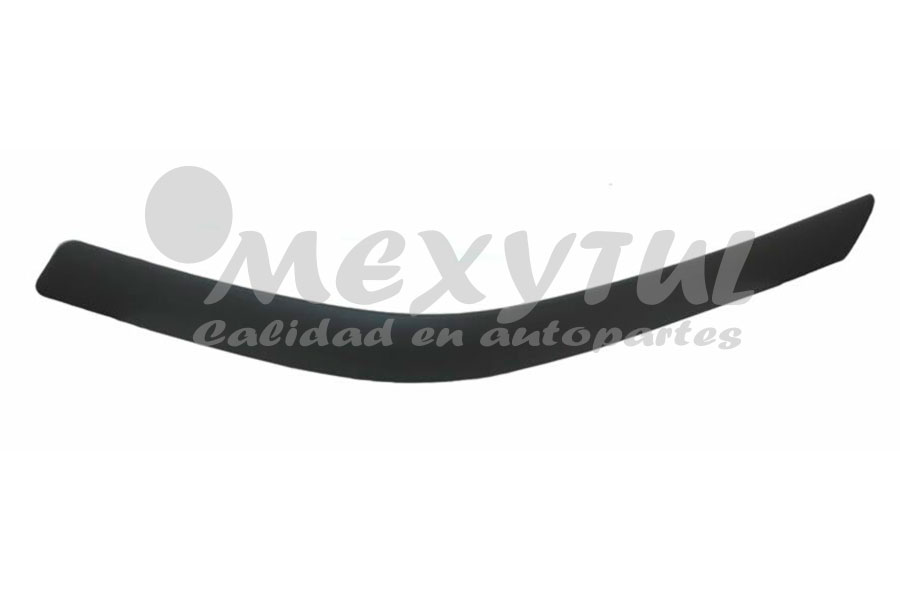 BANDA DEFENSA (MOLDURA/HULE) FORD RANGER 98-04 DEL DER (109)
