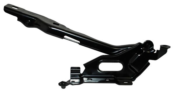 BISAGRA COFRE FORD PU 15-17 IZQ TW