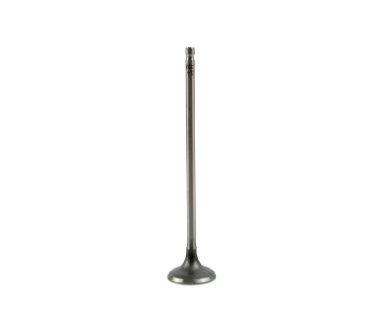 [NITSU94VALADMO] VALVULA DE ADMISION NISSAN TSURU III DE 1994 AL 2004 L4 1.6 16V TSURU 1993-2009 1.6L/ NISSAN SENTRA 1996-2000 1.6L/ NISSAN LUCINO 1996-2000 1.6L/ NISSAN TSUBAME 1993-2000 1.6L MARCA MORESA COD. 9737-STD (116629)