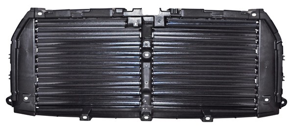 PARRILLA FORD PU 15-16 ACTIVA C/MOTOR INT TW