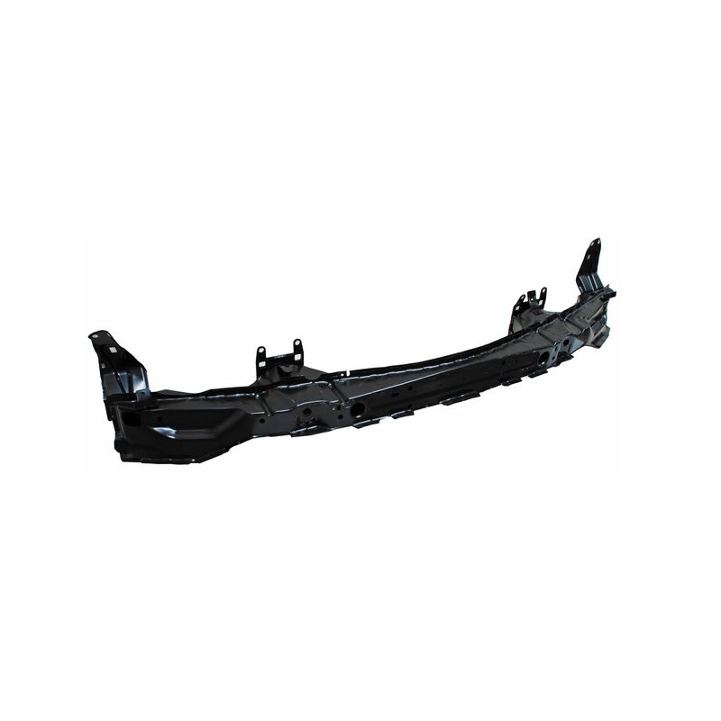 ALMA FASCIA BMW X5 2000 AL 2006 DEL