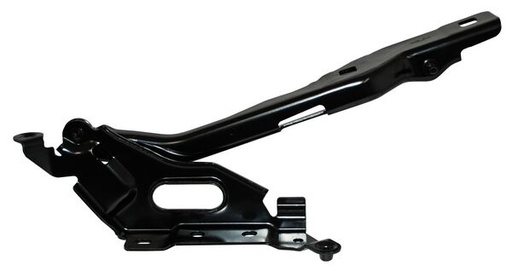 [FL3Z16796B] BISAGRA COFRE FORD PU 15-17 DER TW