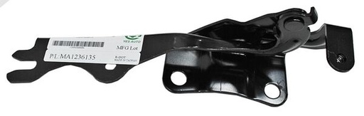 [EG2152410C] BISAGRA COFRE MAZDA CX7 07-12 DER TW